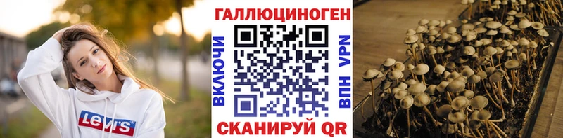 купить наркоту  Куйбышев  Псилоцибиновые грибы ЛСД 