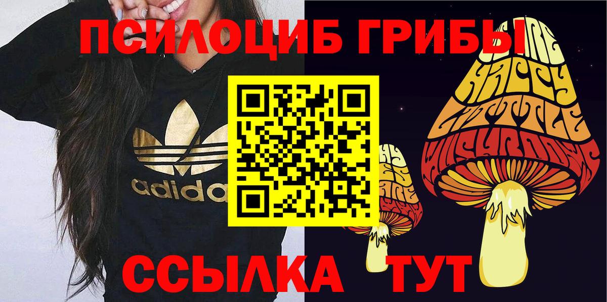 Псилоцибиновые грибы Magic Shrooms  Вход с VPN  Куйбышев 