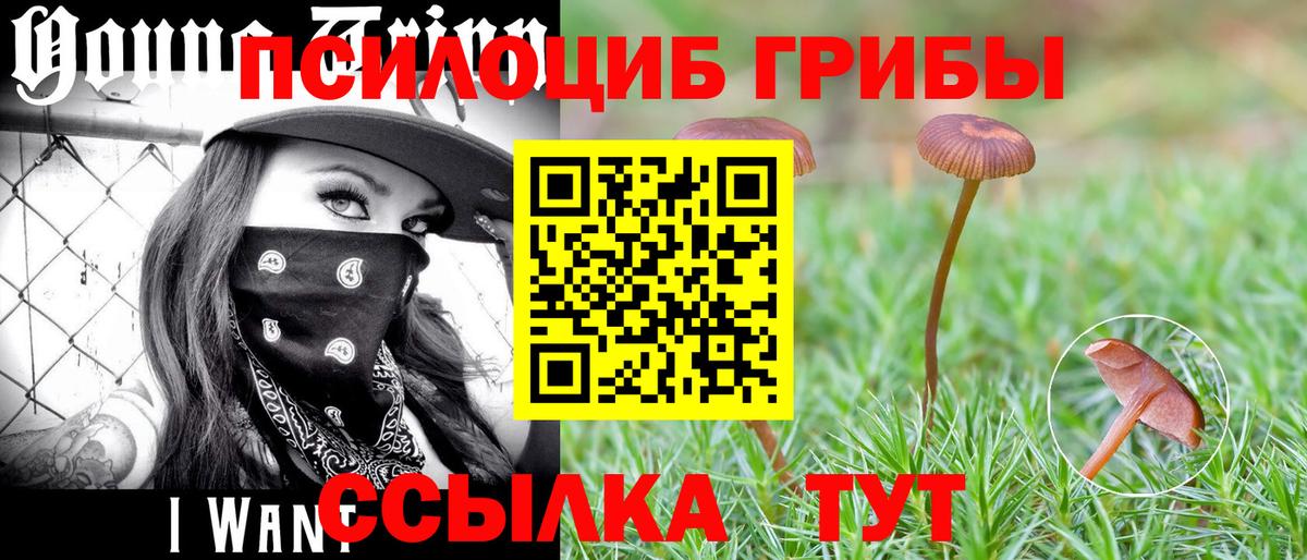 Псилоцибиновые грибы прущие грибы Куйбышев