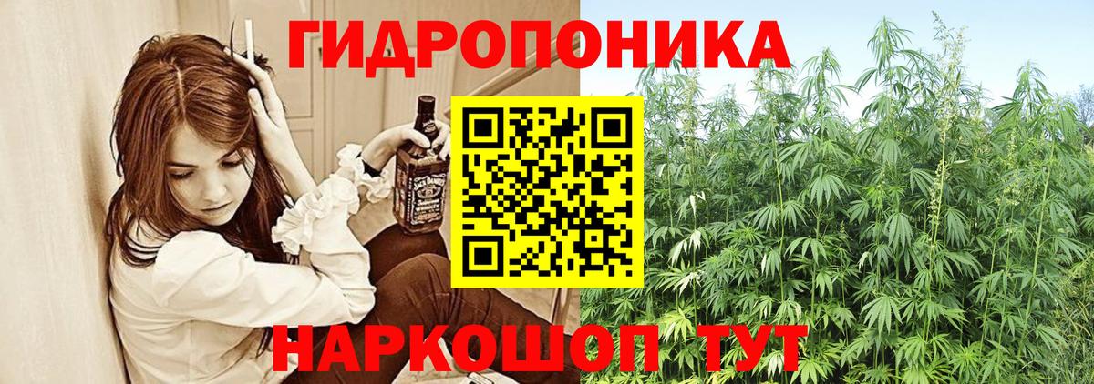 Шишки марихуана марихуана Куйбышев